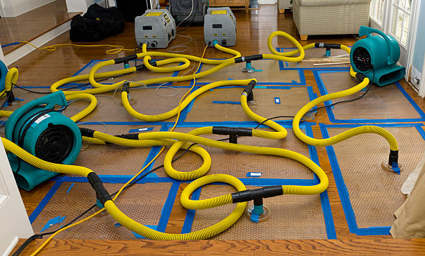 Professional Water Extraction technician working in Canton, IL